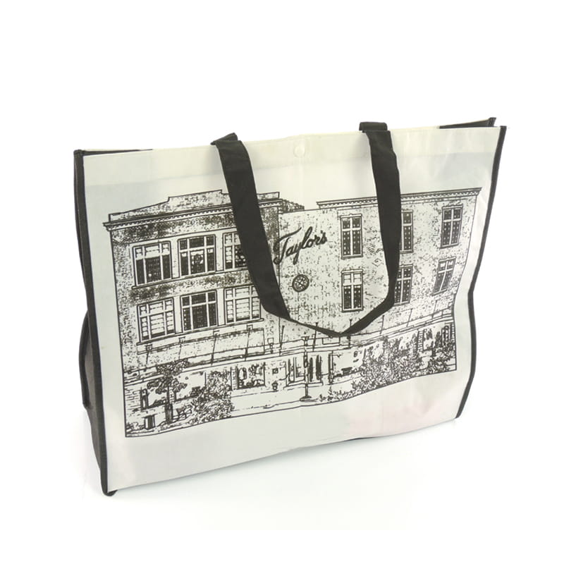 Non-Woven bag